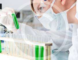 Bioreactors